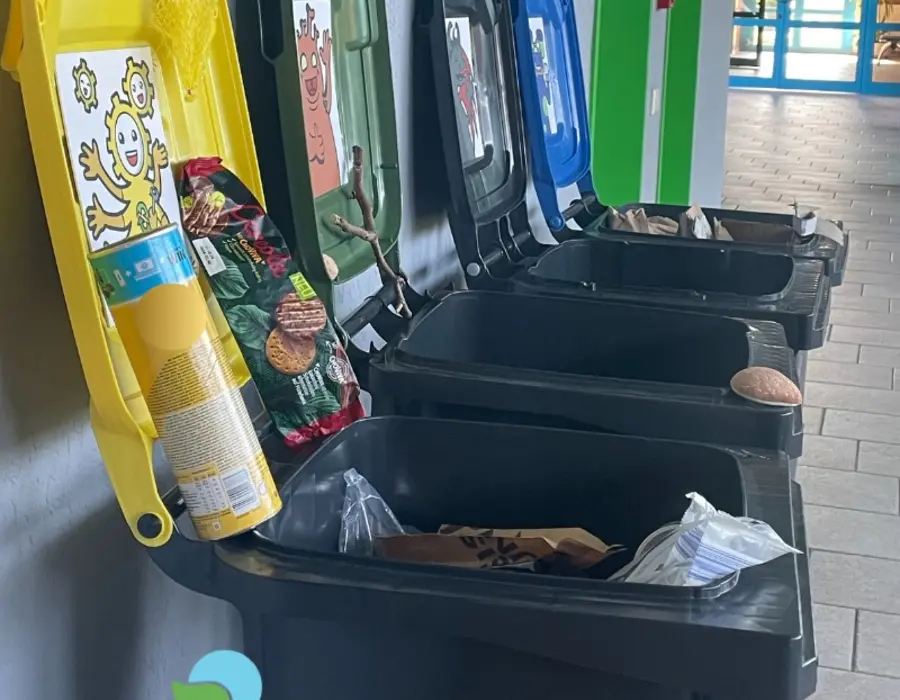 Trash Monster inserts on waste bins